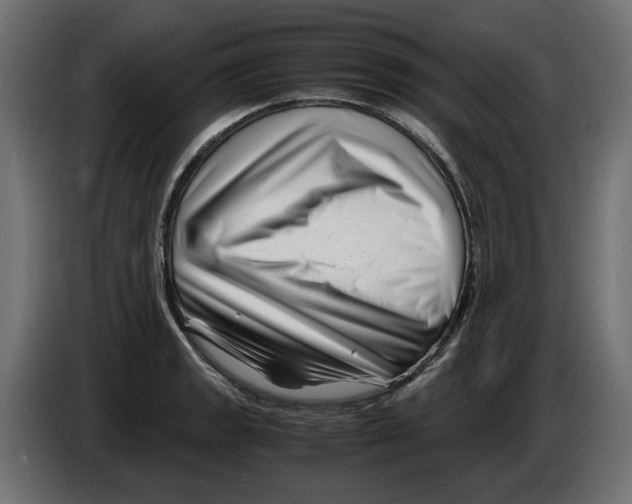 X0000082951133200703020143