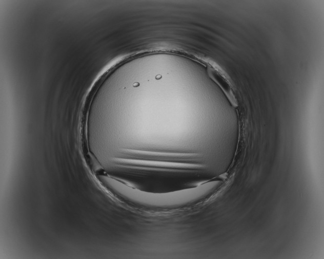 X0000082951134200703020143