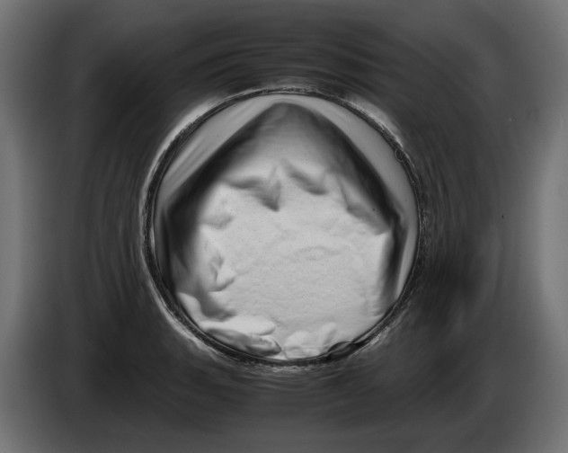 X0000082951135200703020143