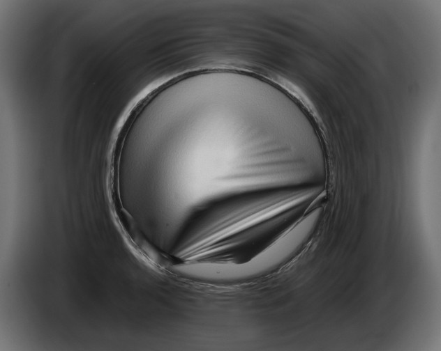 X0000082951136200703020143