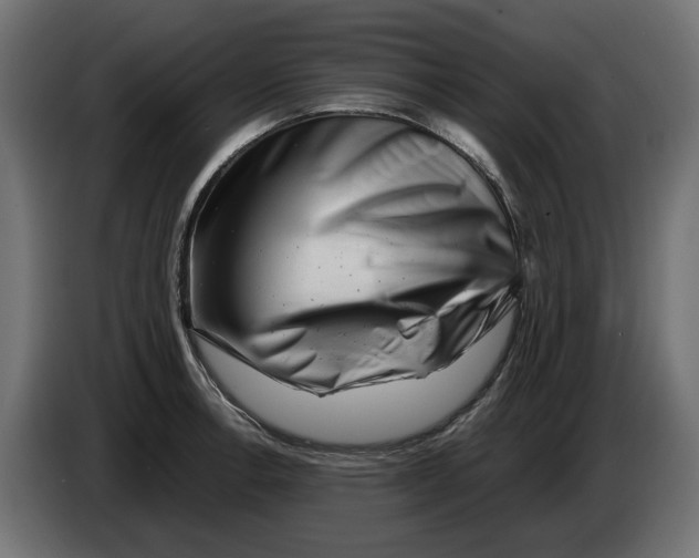 X0000082951138200703020143