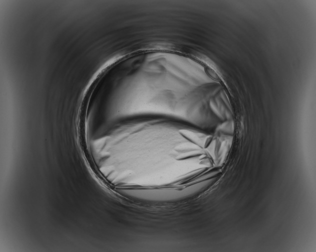 X0000082951139200703020143