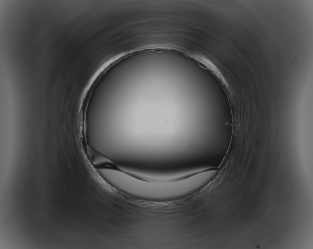 X0000082951140200703020143