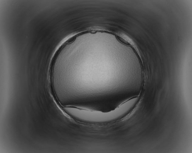 X0000082951141200703020143