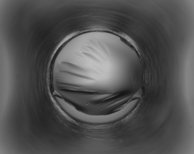 X0000082951142200703020143