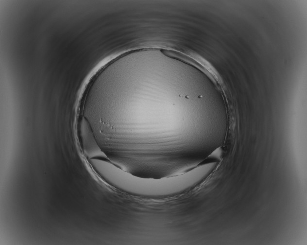 X0000082951144200703020143