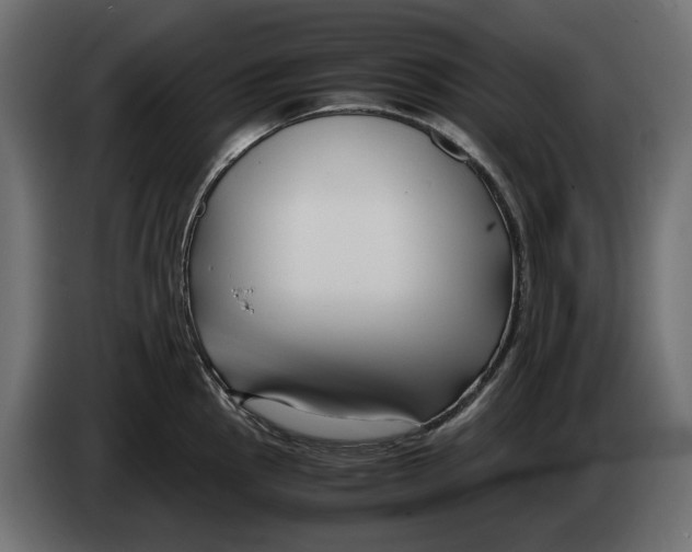 X0000082951145200703020144