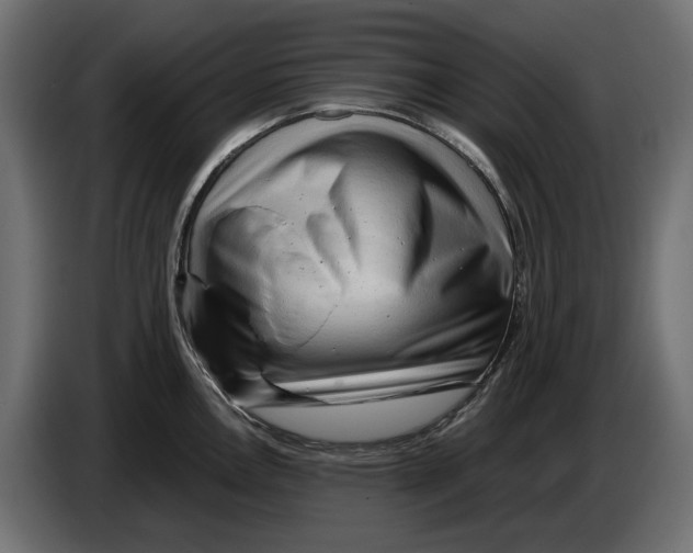 X0000082951146200703020144