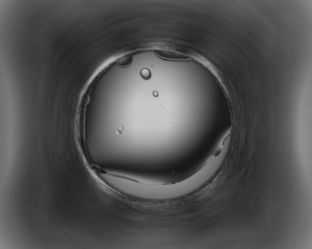 X0000082951147200703020144