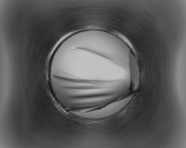 X0000082951148200703020144