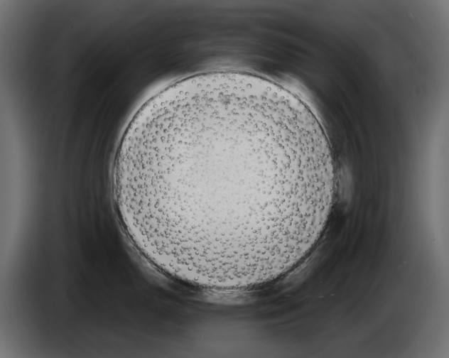 X0000082951150200703020144