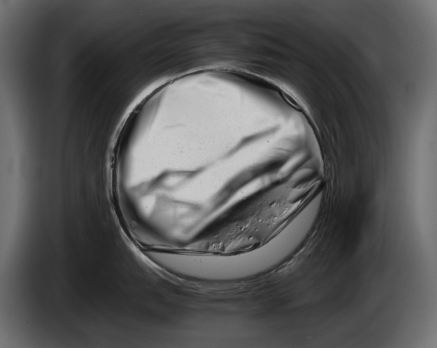 X0000082951151200703020144