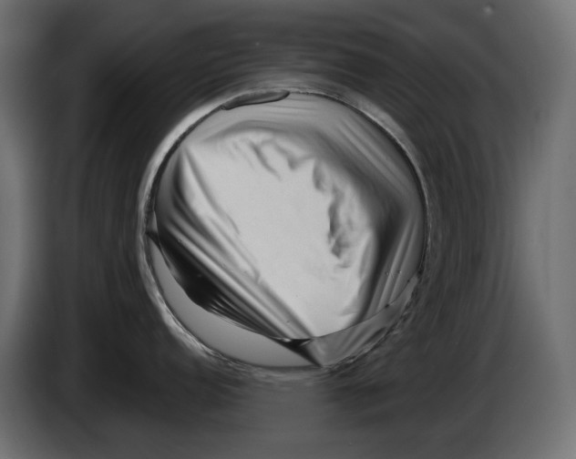 X0000082951152200703020144