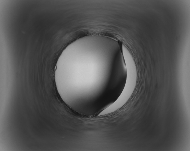 X0000082951153200703020143