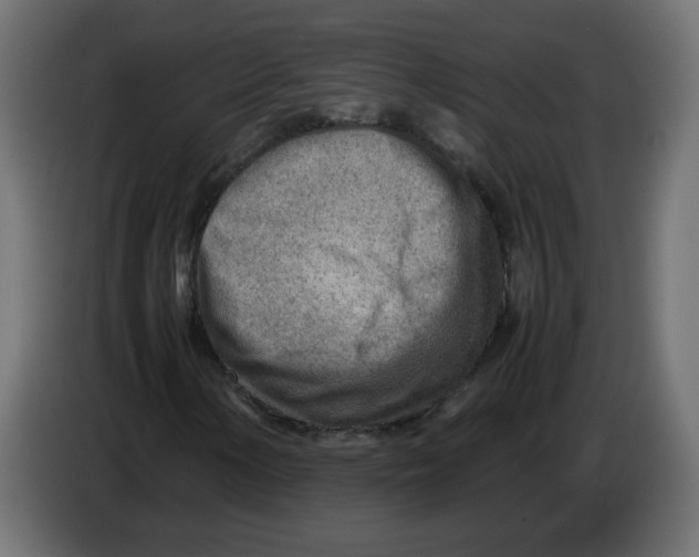 X0000082951154200703020143