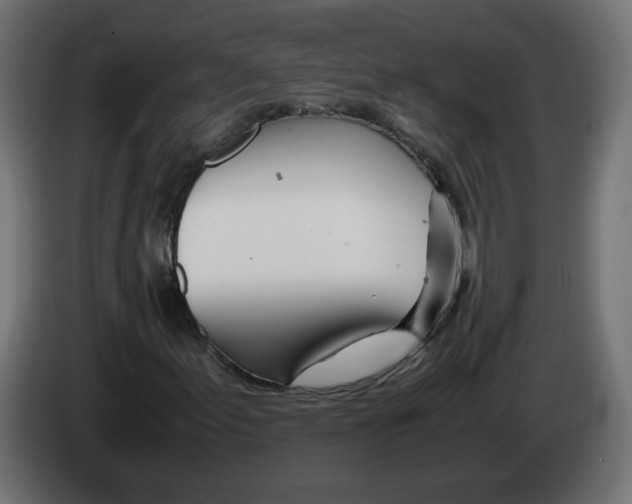 X0000082951155200703020143