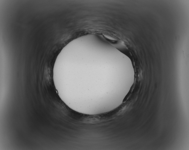 X0000082951156200703020143