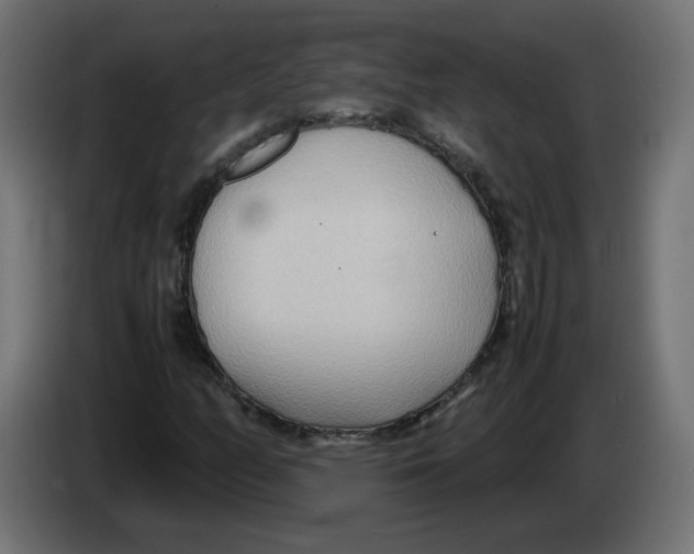 X0000082951158200703020143