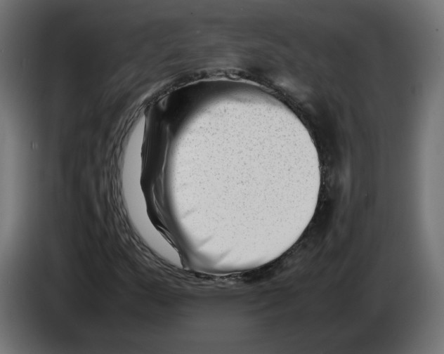 X0000082951159200703020143