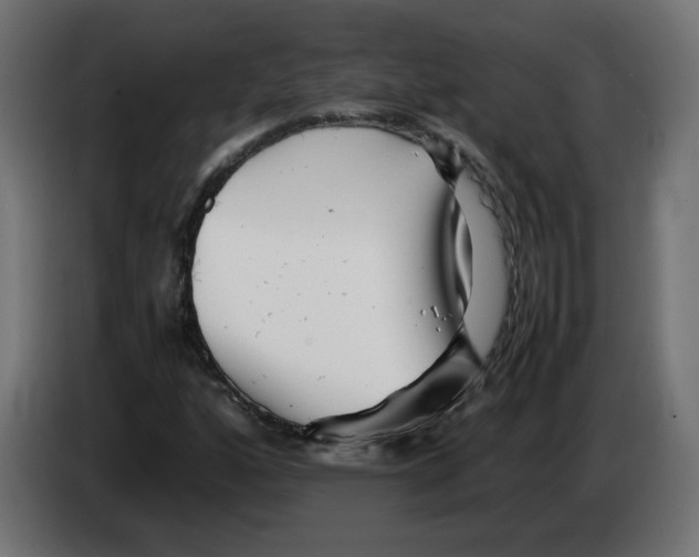 X0000082951160200703020143