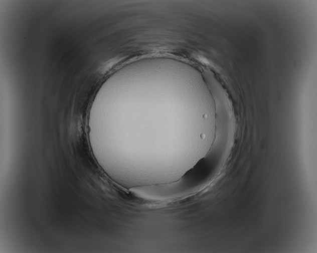 X0000082951161200703020143