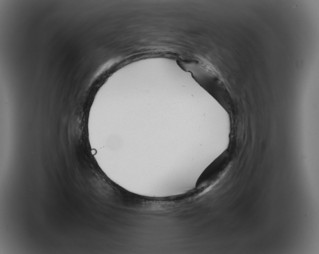 X0000082951163200703020143