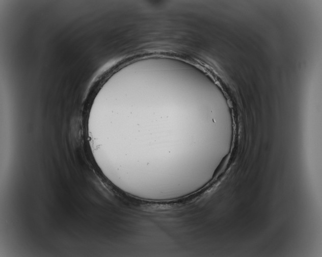 X0000082951164200703020143