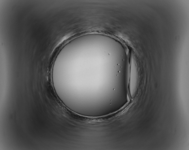 X0000082951165200703020143