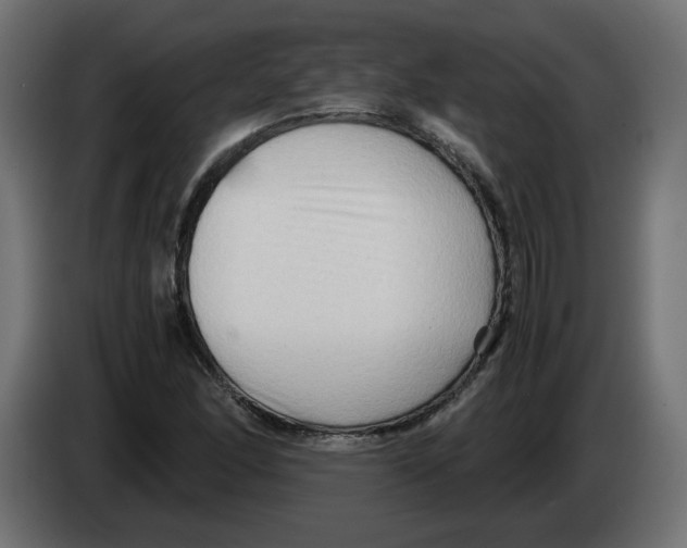 X0000082951166200703020143