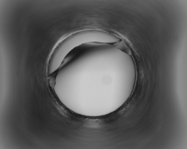 X0000082951168200703020143