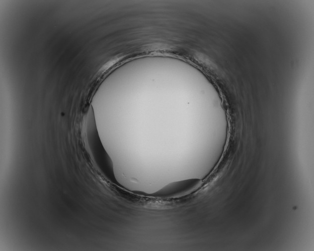 X0000082951169200703020143