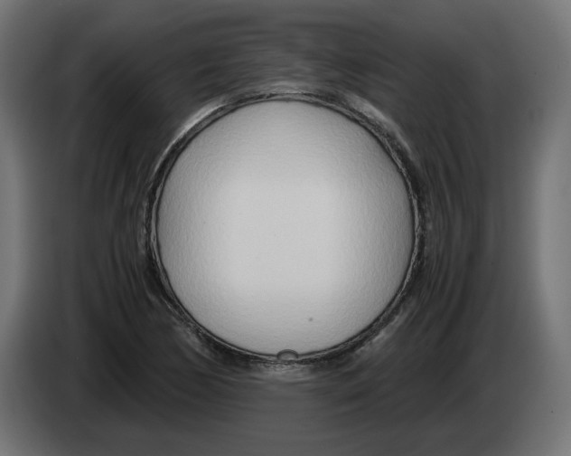 X0000082951170200703020143