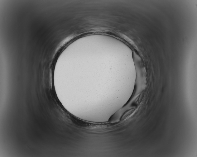 X0000082951171200703020143