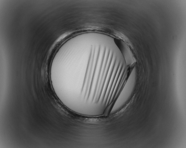 X0000082951172200703020143