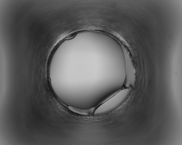 X0000082951173200703020143