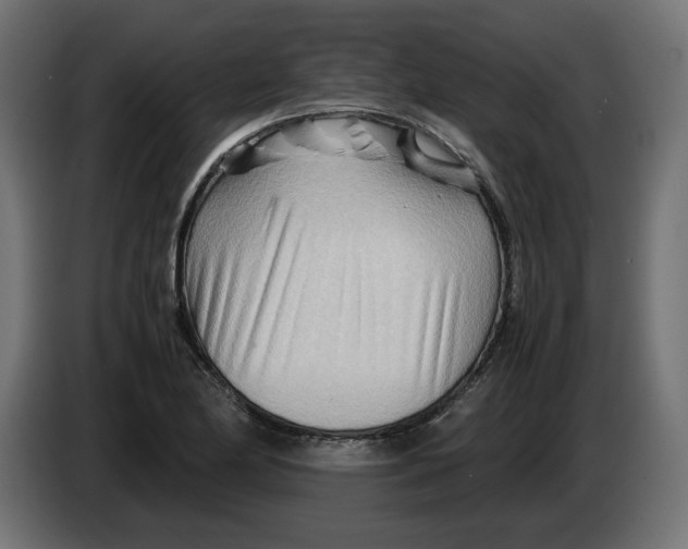 X0000082951174200703020143