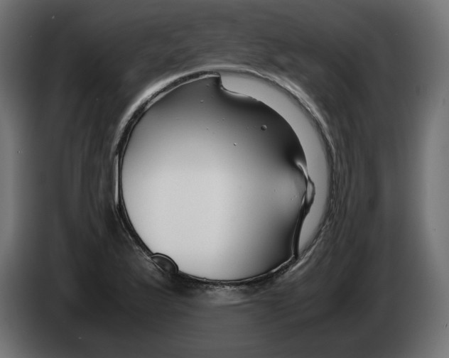 X0000082951175200703020143