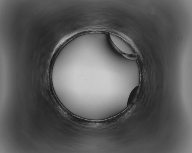 X0000082951176200703020143