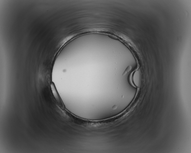 X0000082951177200703020143