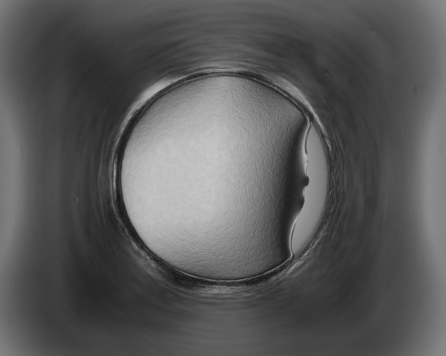 X0000082951179200703020143