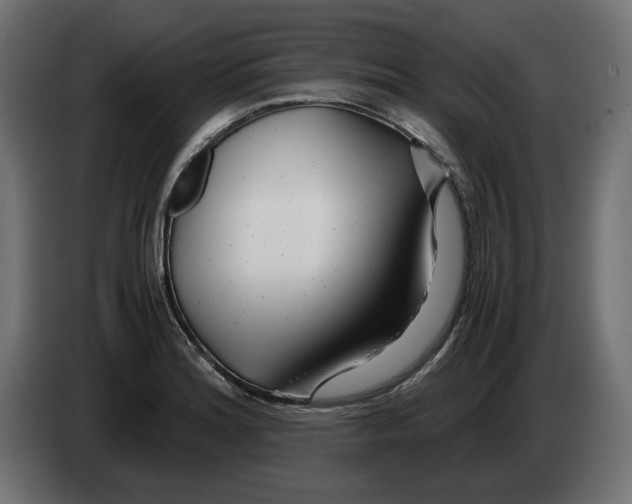 X0000082951180200703020143