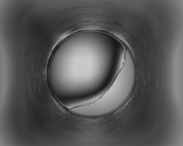 X0000082951181200703020143