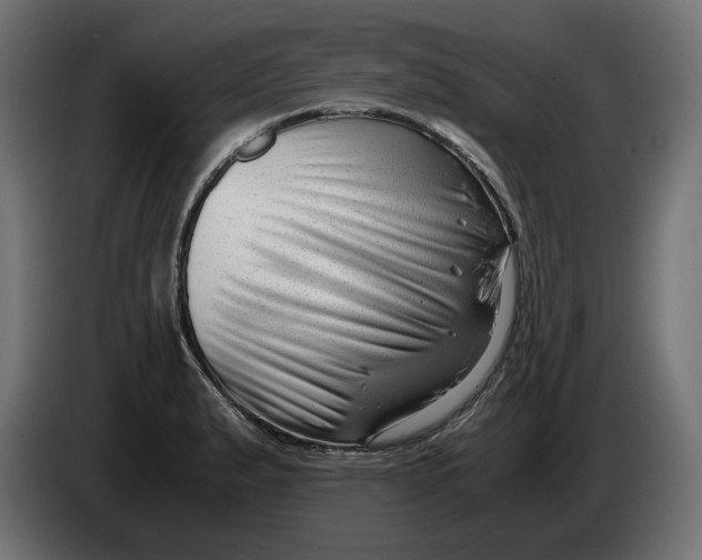 X0000082951183200703020143