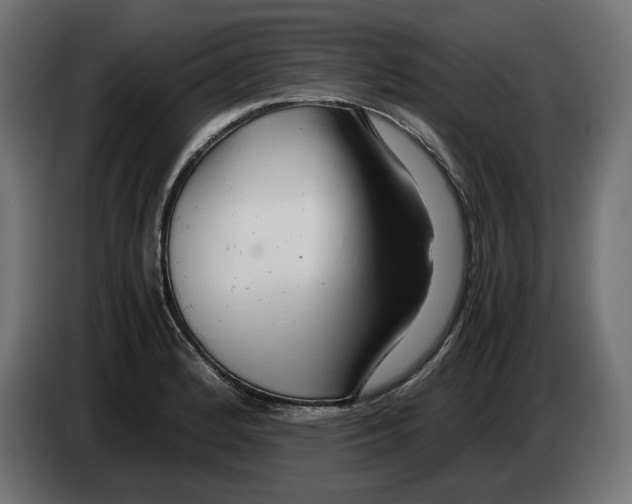 X0000082951184200703020142