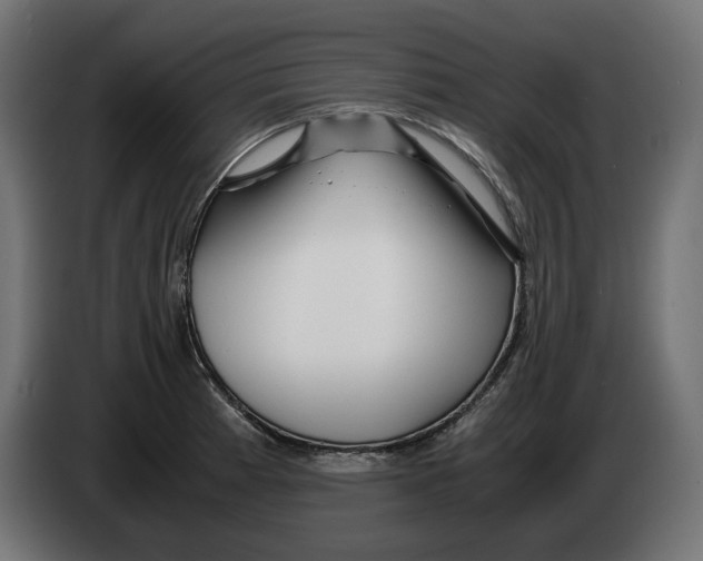 X0000082951185200703020142