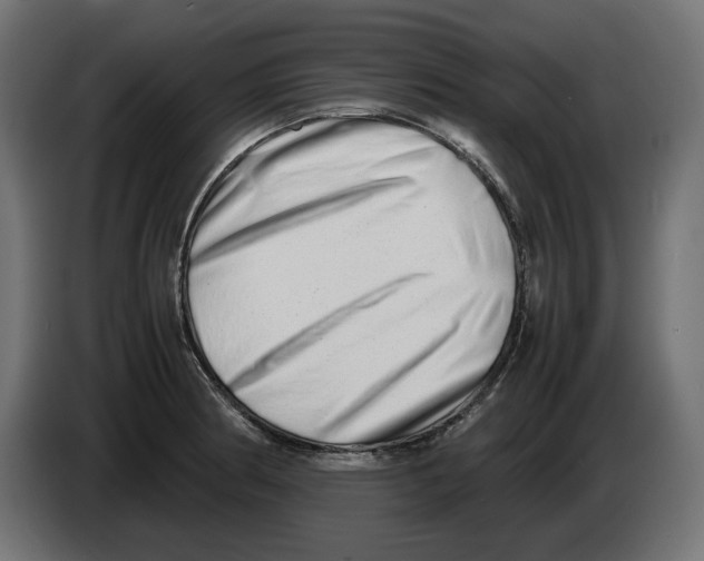 X0000082951186200703020142