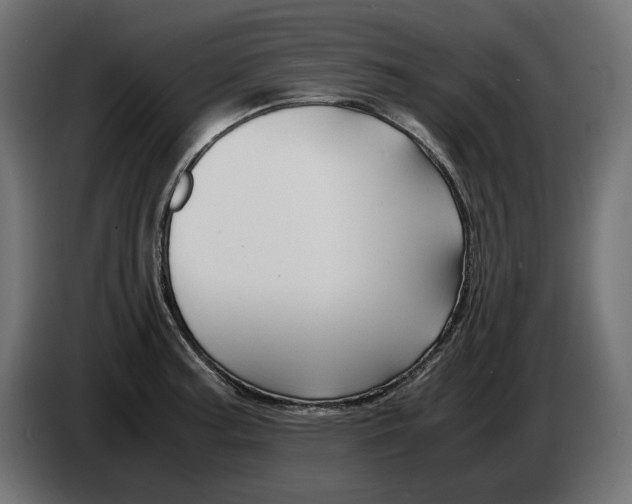 X0000082951187200703020142