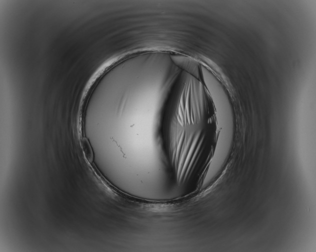 X0000082951188200703020142