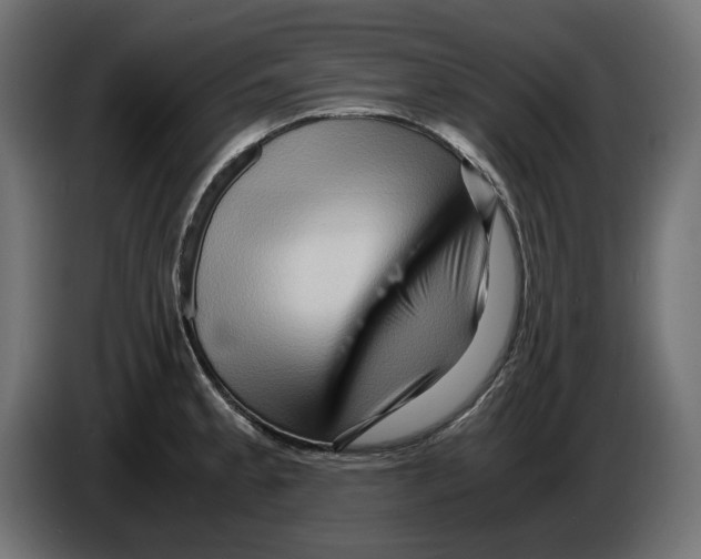 X0000082951189200703020142