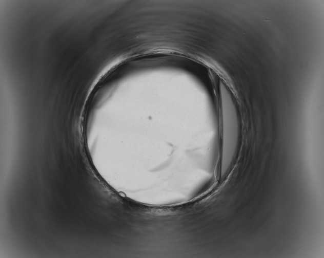 X0000082951190200703020142